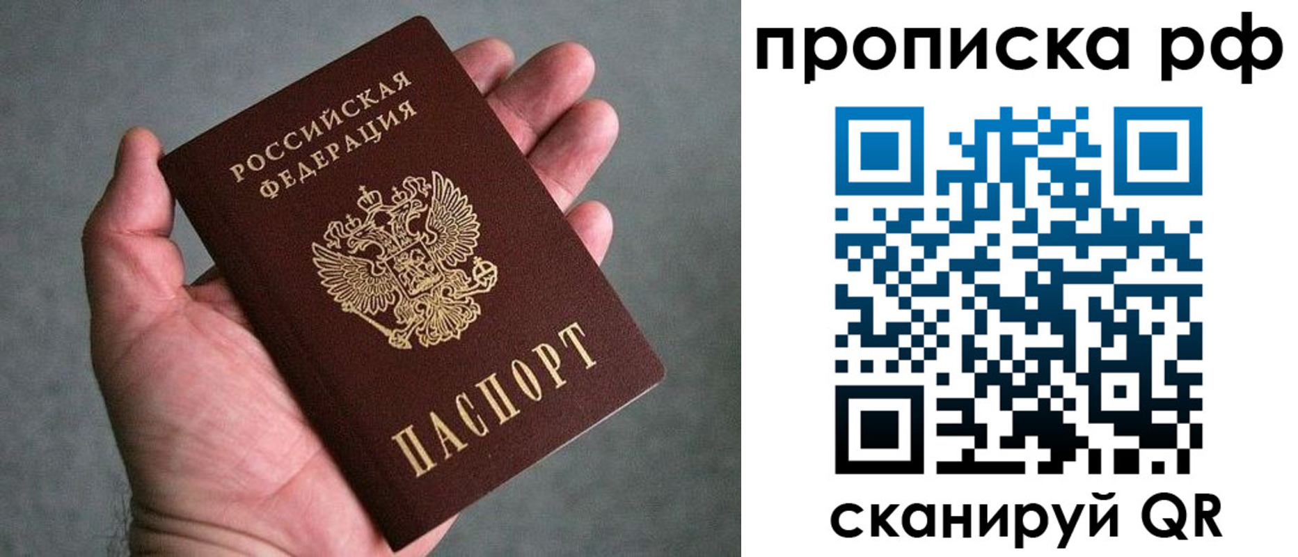 прописка поиск в Ейске